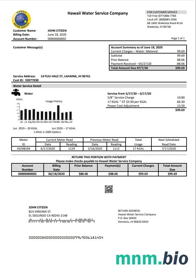 USA Hawaje Water Service Firma rachunek za media szablon w formacie Word i PDF